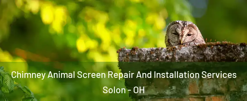  Chimney Animal Screen Repair And Installation Services Solon - OH