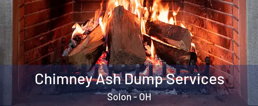  Chimney Ash Dump Services Solon - OH