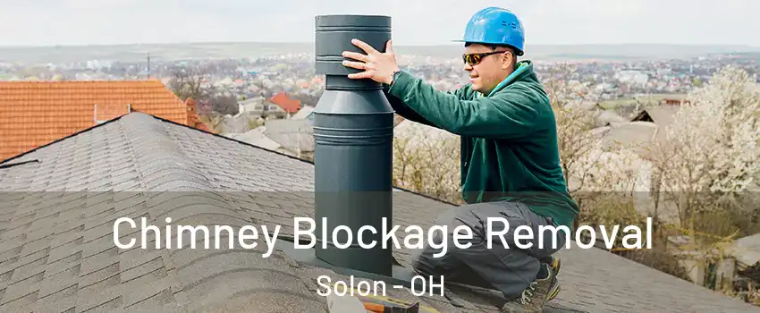  Chimney Blockage Removal Solon - OH