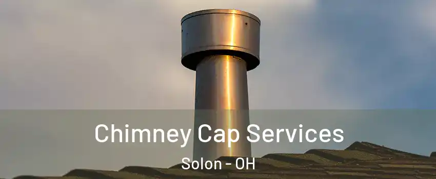  Chimney Cap Services Solon - OH