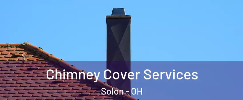  Chimney Cover Services Solon - OH