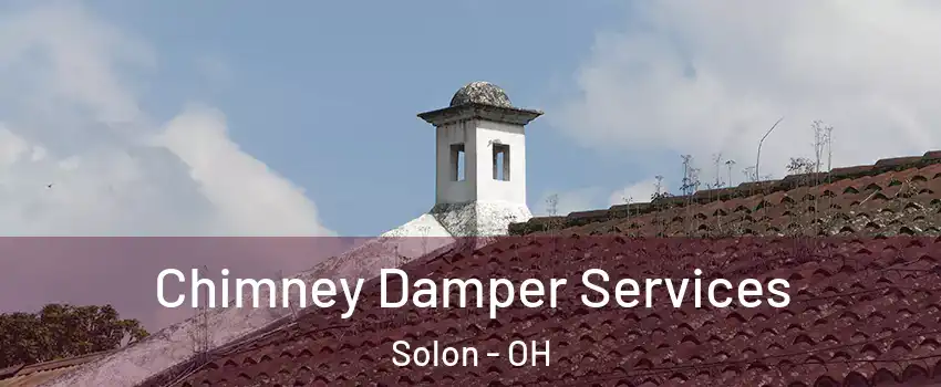  Chimney Damper Services Solon - OH