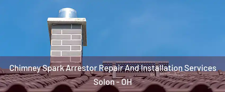 Chimney Spark Arrestor Repair And Installation Services Solon - OH