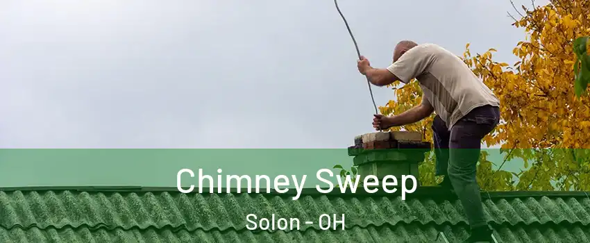  Chimney Sweep Solon - OH