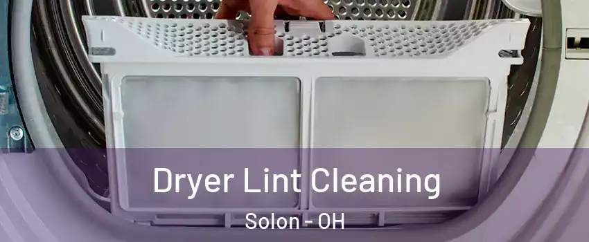  Dryer Lint Cleaning Solon - OH