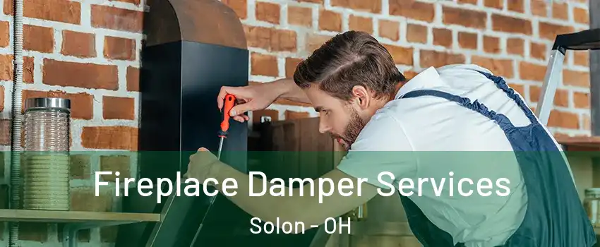  Fireplace Damper Services Solon - OH