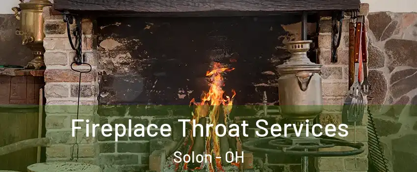  Fireplace Throat Services Solon - OH