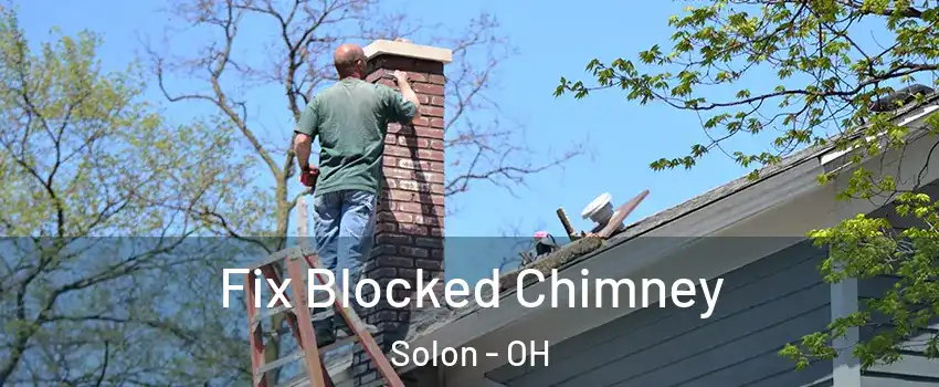  Fix Blocked Chimney Solon - OH