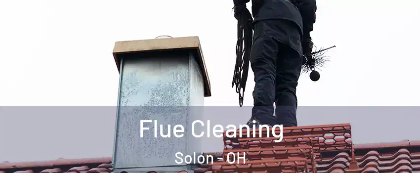  Flue Cleaning Solon - OH