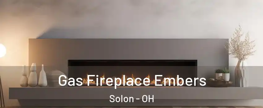  Gas Fireplace Embers Solon - OH