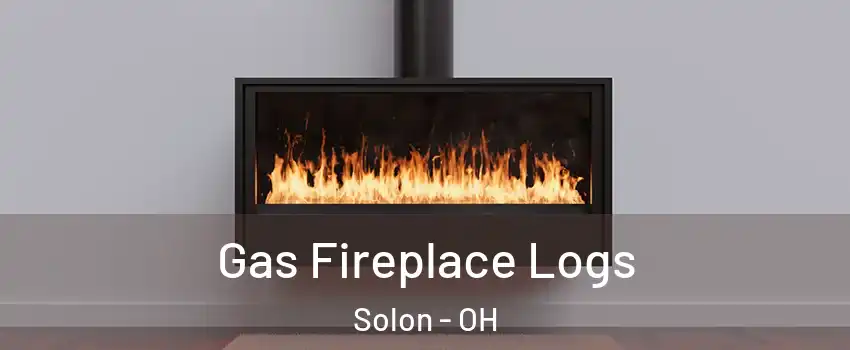  Gas Fireplace Logs Solon - OH