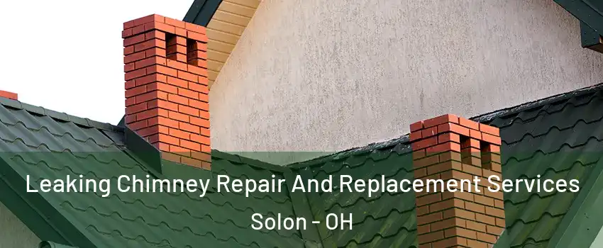  Leaking Chimney Repair And Replacement Services Solon - OH