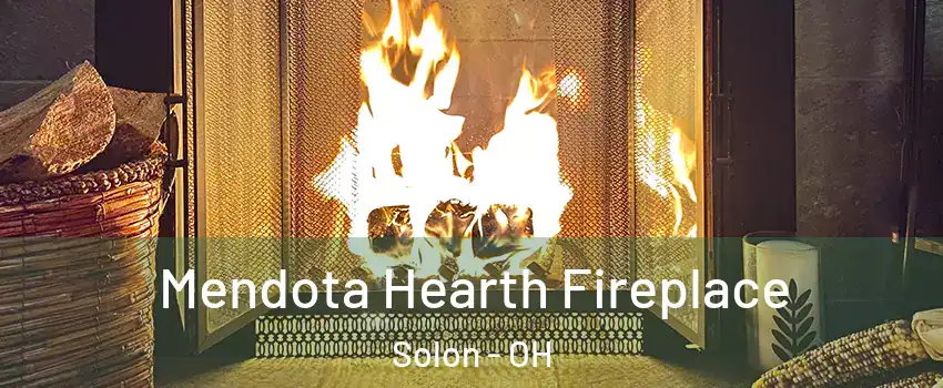  Mendota Hearth Fireplace Solon - OH