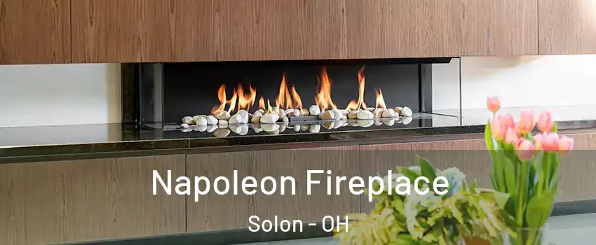  Napoleon Fireplace Solon - OH