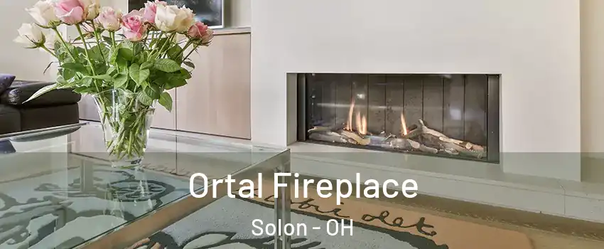  Ortal Fireplace Solon - OH